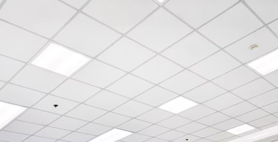 Plain Double Glass Door