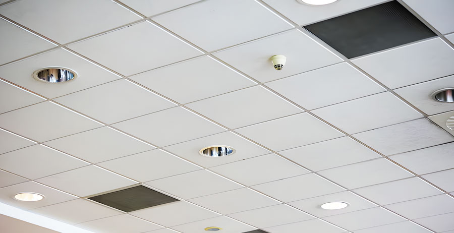 Plain Double Glass Door