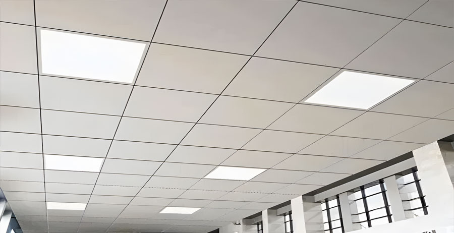 Plain Double Glass Door