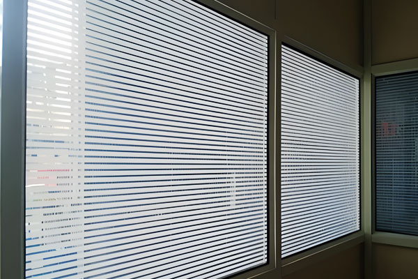 Slim Profile Glass Partition